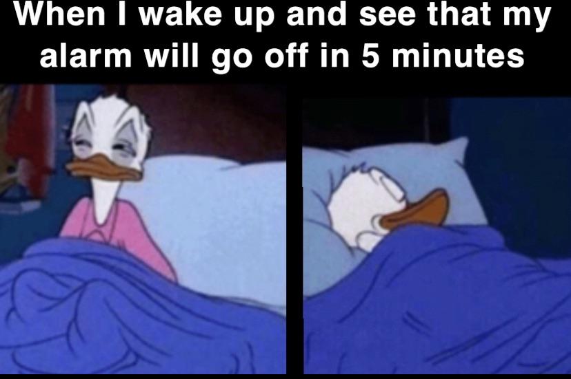 funny memes - cartoon - When I wake up and see that my alarm will go off in 5 minutes