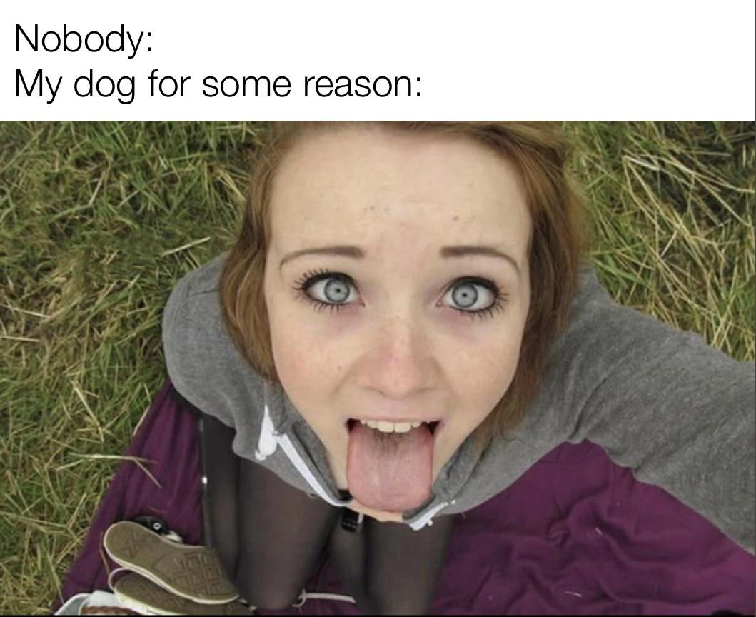 19 Fresh Memes of the Dankest Kind