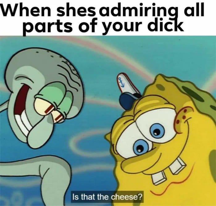 funny memes - When shes admiring all parts of your dick Is that the cheese?