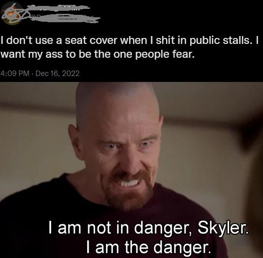 funny memes - photo caption - I don't use a seat cover when I shit in public stalls. I want my ass to be the one people fear. I am not in danger, Skyler. I am the danger.