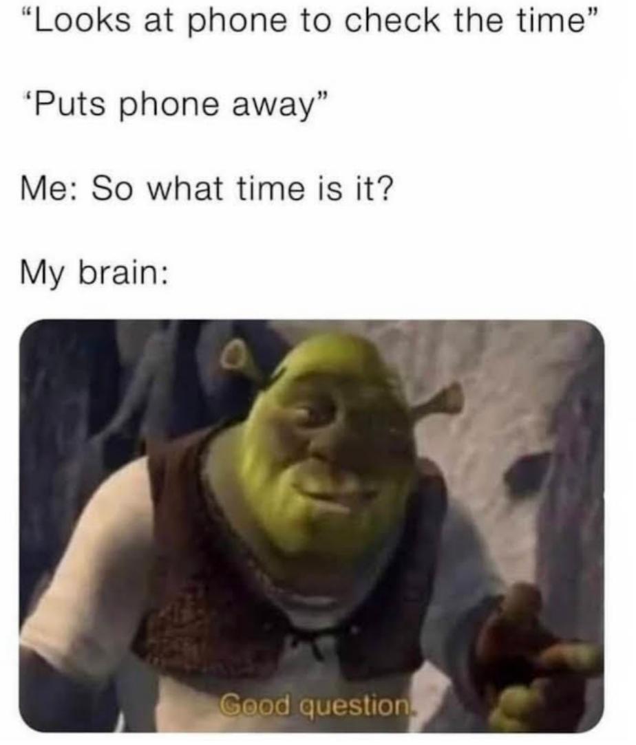 funny memes - good memes - "Looks at phone to check the time" 'Puts phone away" Me So what time is it? My brain Good question