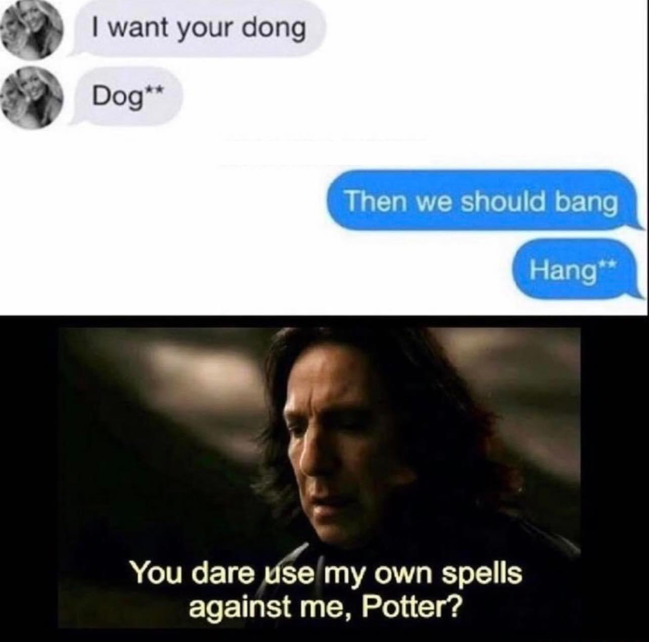 fresh memes - photo caption - I want your dong Dog Then we should bang Hang You dare use my own spells against me, Potter?