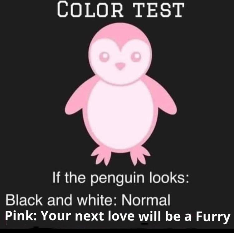 fresh memes - penguin - Color Test If the penguin looks Black and white Normal Pink Your next love will be a Furry