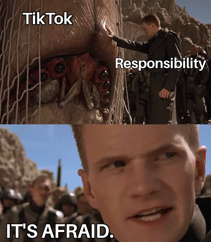fresh memes - photo caption - TikTok It'S Afraid. Responsibility