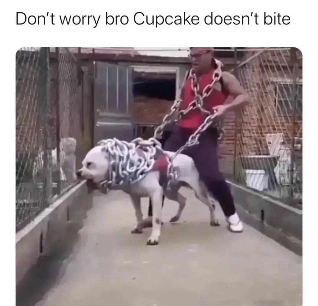 fresh memes - dont worry cupcake doesn t bite - Don't worry bro Cupcake doesn't bite