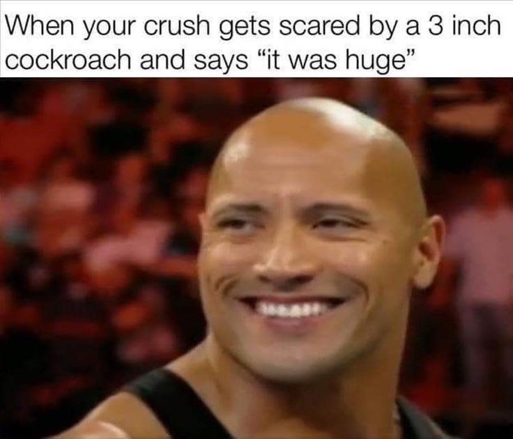 funny memes - photo caption - When your crush gets scared by a 3 inch cockroach and says "it was huge"