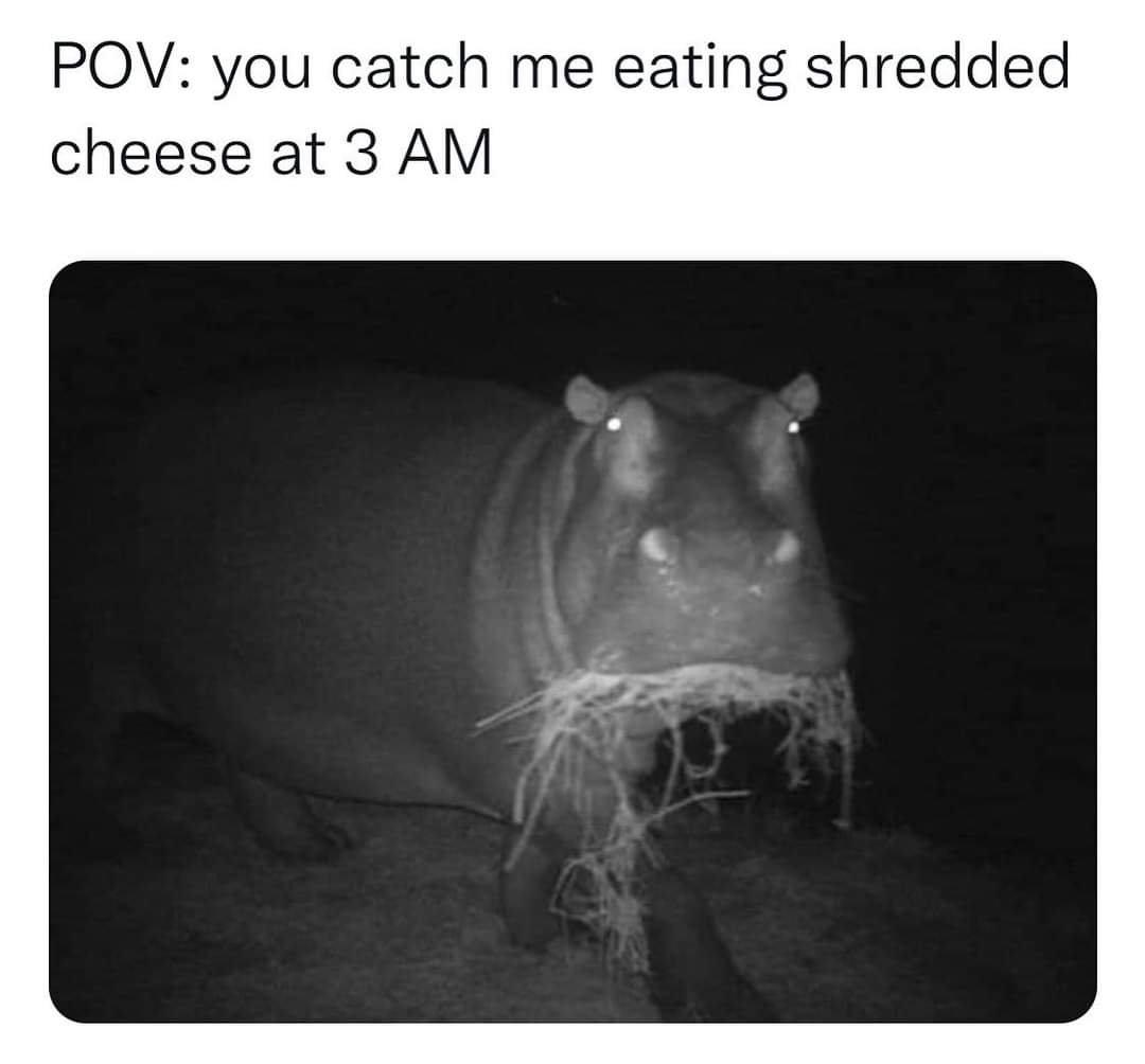 funny memes - monochrome photography - Pov you catch me eating shredded cheese at 3 Am