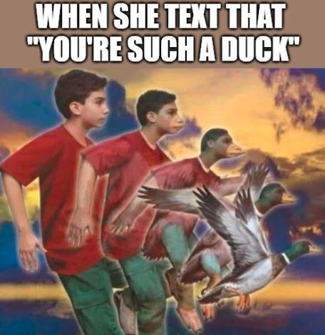 fresh memes - animorphs 51 - When She Text That "You'Re Such A Duck"