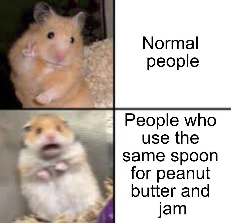 fresh memes - hamster - Normal people People who use the same spoon for peanut butter and jam