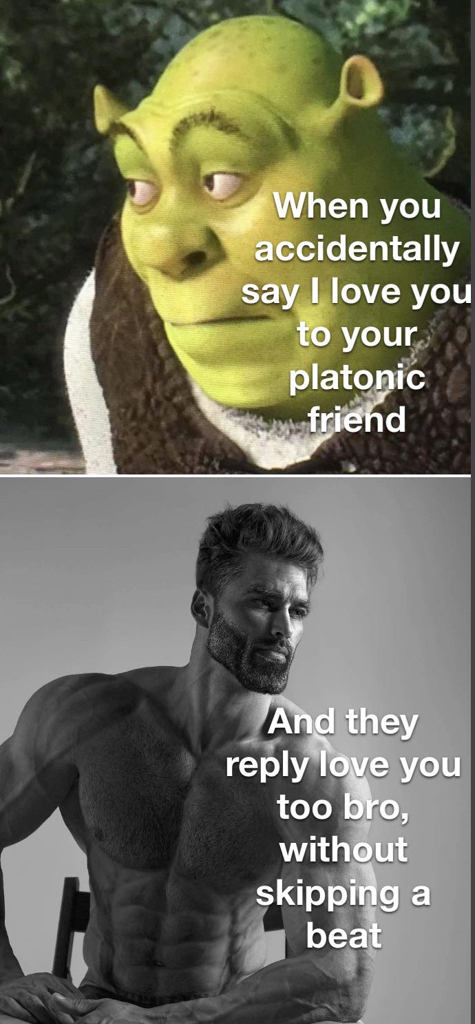 funny memes and pics - head - When you accidentally say I love you to your platonic friend And they love you too bro, without skipping a beat