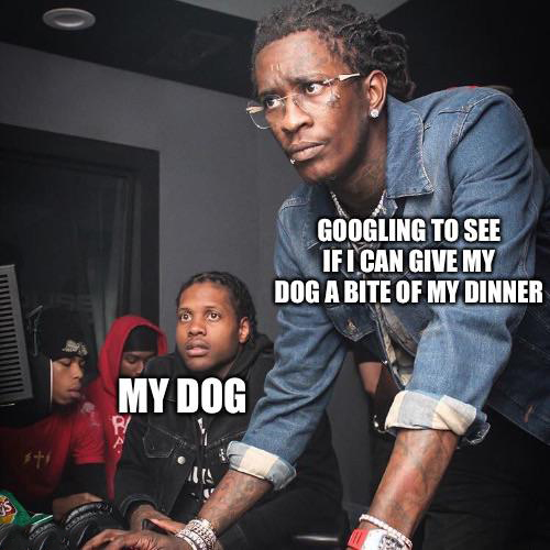 funny memes and pics - cashier who knows the code for bread - 1 My Dog Googling To See If I Can Give My Dog A Bite Of My Dinner