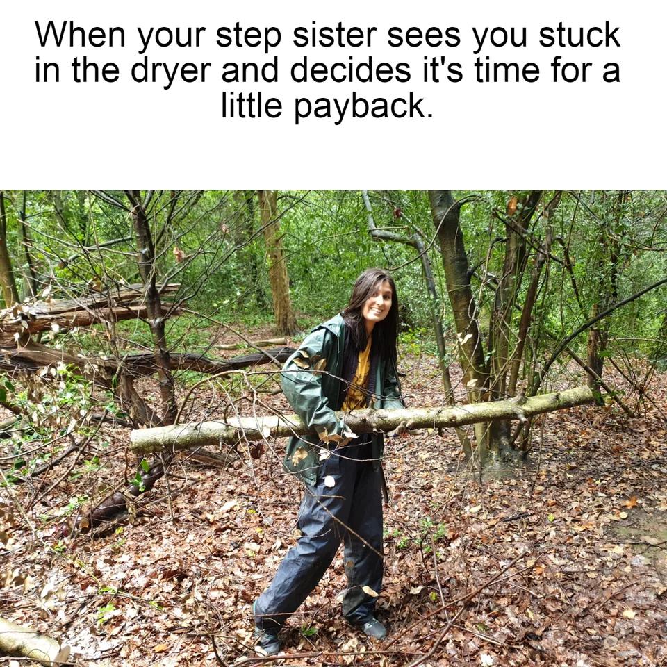 dank memes - step sister memes reddit - When your step sister sees you stuck in the dryer and decides it's time for a little payback.