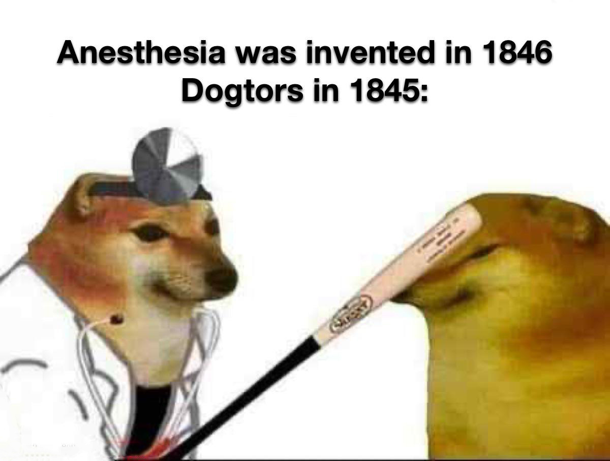 dank memes - dog - Anesthesia was invented in 1846 Dogtors in 1845