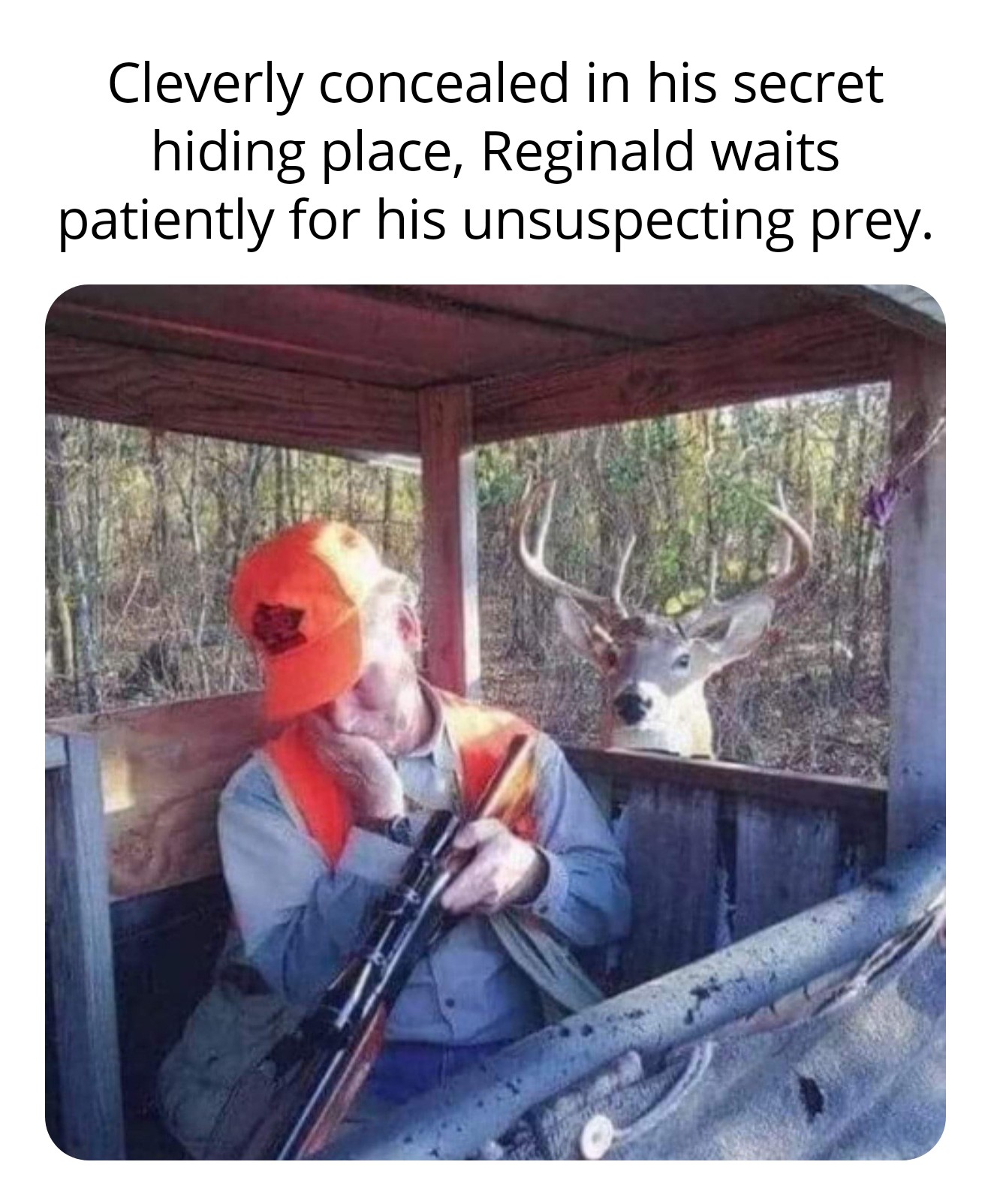 dank memes - funny deer hunting memes - Cleverly concealed in his secret hiding place, Reginald waits patiently for his unsuspecting prey.
