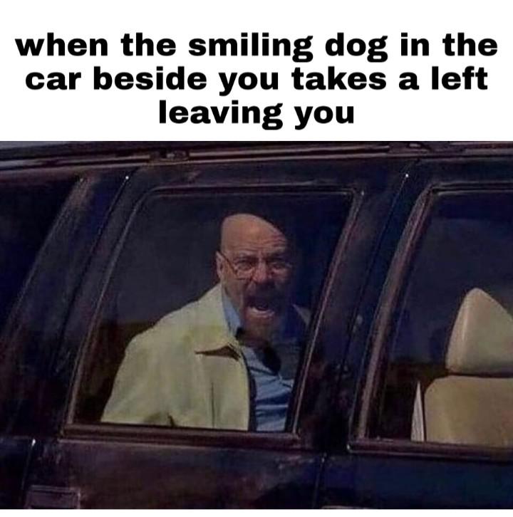 funny memes - photo caption - when the smiling dog in the car beside you takes a left leaving you