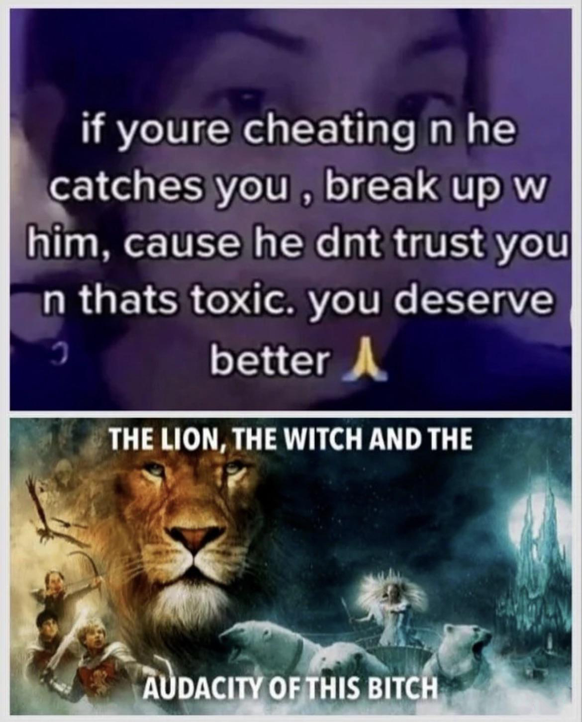 dank memes and pics - fauna - if youre cheating n he catches you, break up w him, cause he dnt trust you n thats toxic. you deserve better The Lion, The Witch And The Audacity Of This Bitch