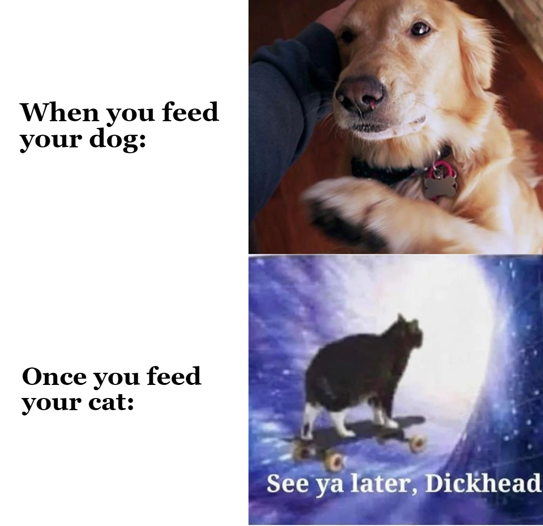 dank memes and pics - Meme - When you feed your dog Once you feed your cat See ya later, Dickhead