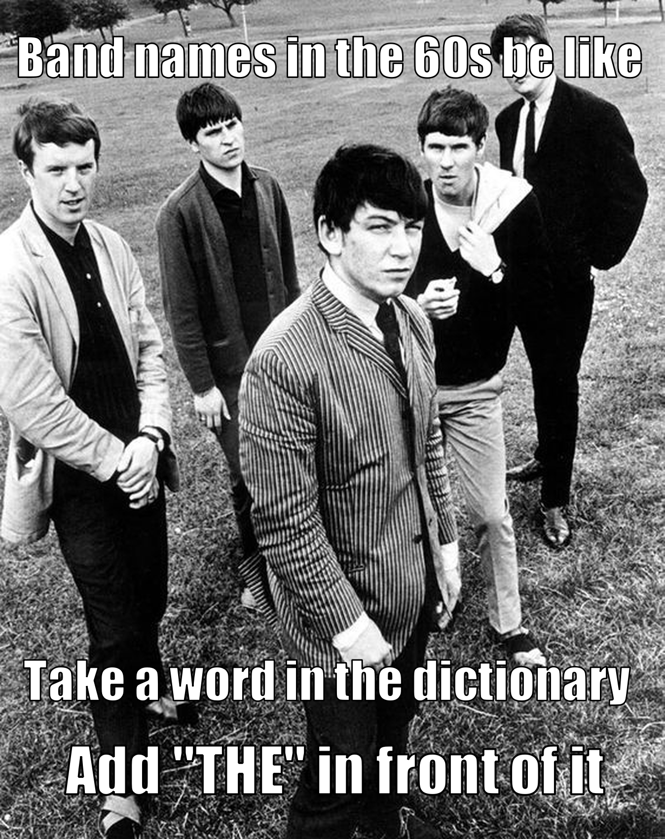 funny memes - animals retrospective - Band names in the 60s be 9 Take a word in the dictionary Add "The" in front of it