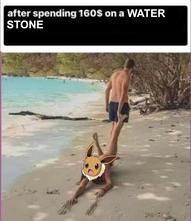 funny memes - vacation - after spending 160$ on a Water Stone