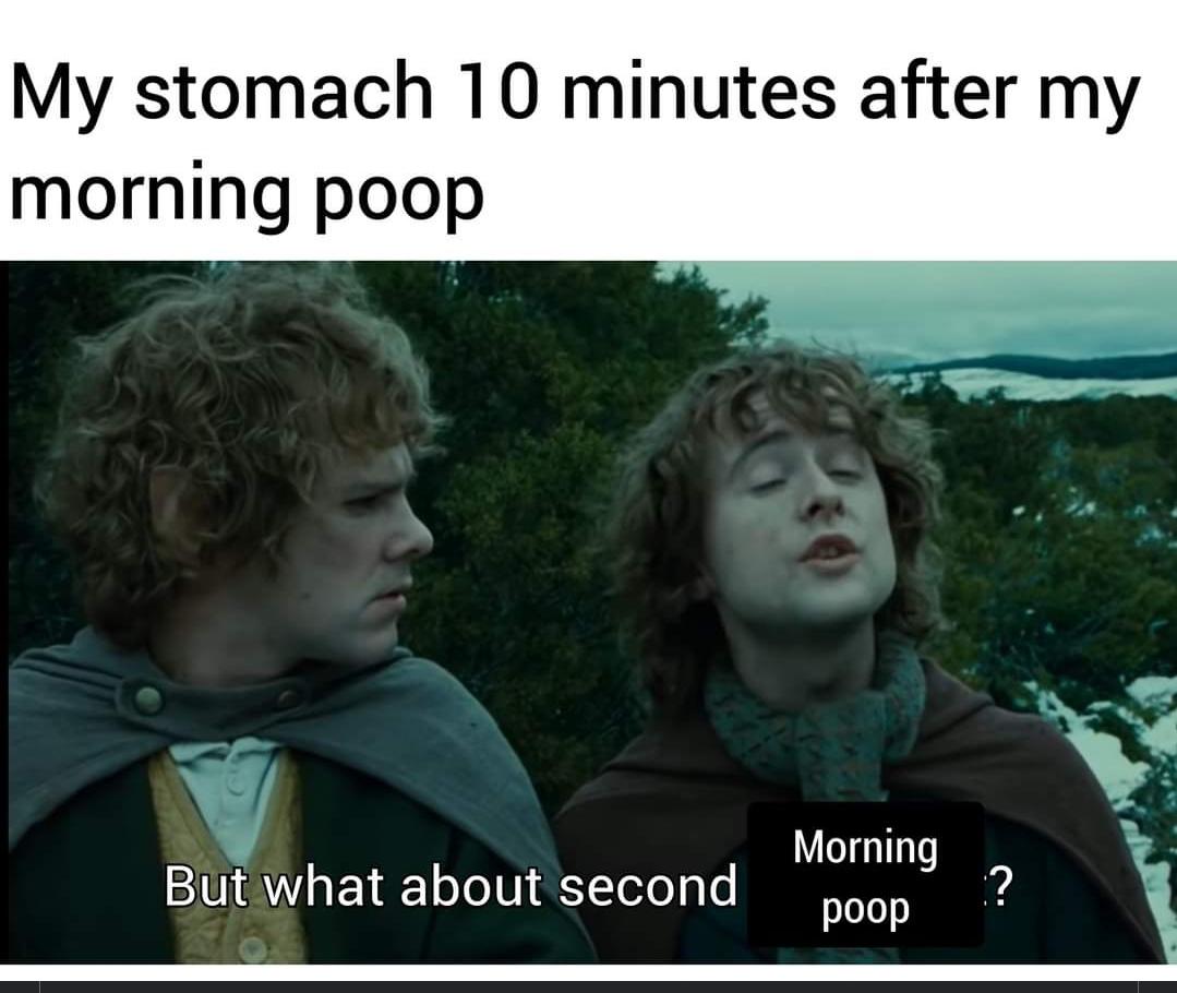 funny memes - photo caption - My stomach 10 minutes after my morning poop But what about second Morning poop ?