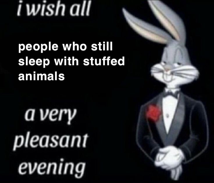 monday morning randomness - wish all sink pissers a very pleasant evening - i wish all people who still sleep with stuffed animals a very pleasant evening