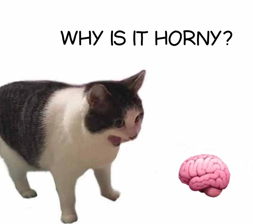 monday morning randomness - Internet meme - Why Is It Horny? G u