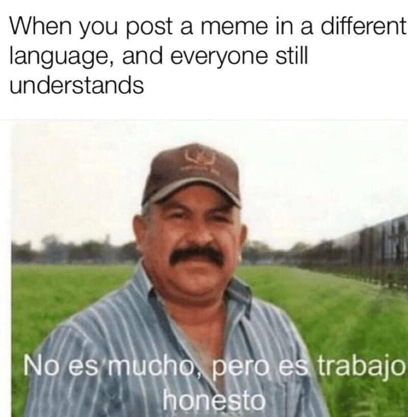 spanish class memes - When you post a meme in a different language, and everyone still understands No es mucho, pero es trabajo honesto
