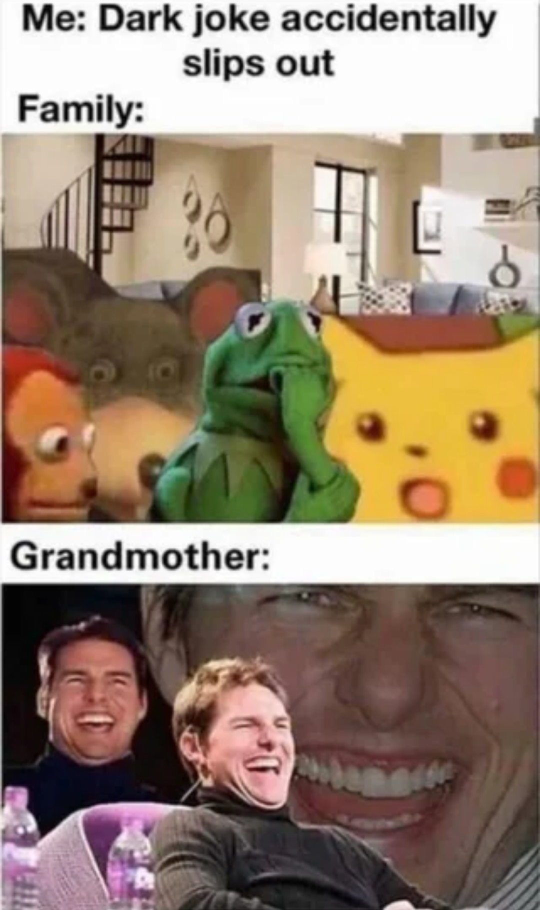 funny memes and pics - dark joke meme - Me Dark joke accidentally slips out Family 36 Grandmother 160