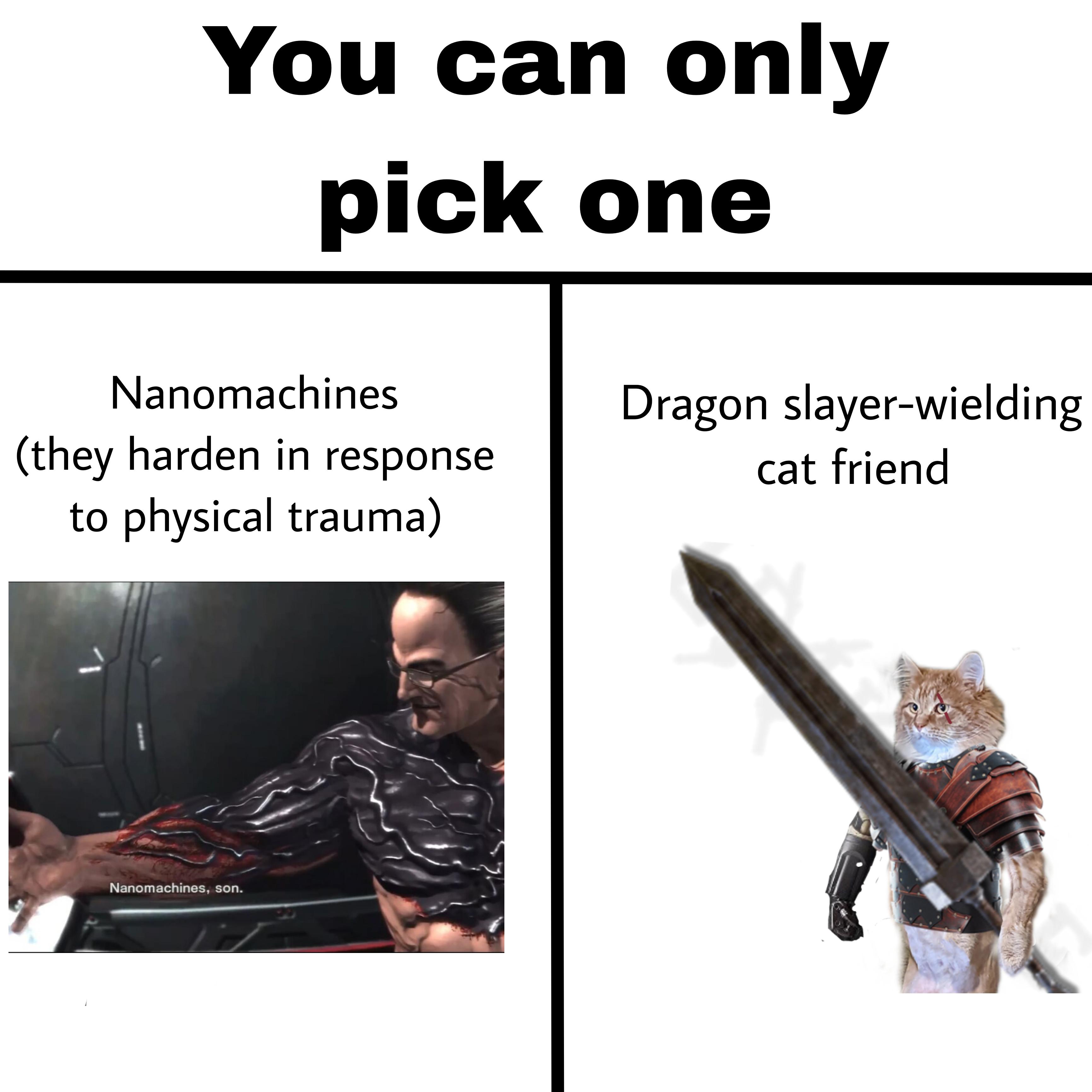 funny memes and pics - shoe - You can only pick one Nanomachines they harden in response to physical trauma Nanomachines, son Dragon slayerwielding cat friend