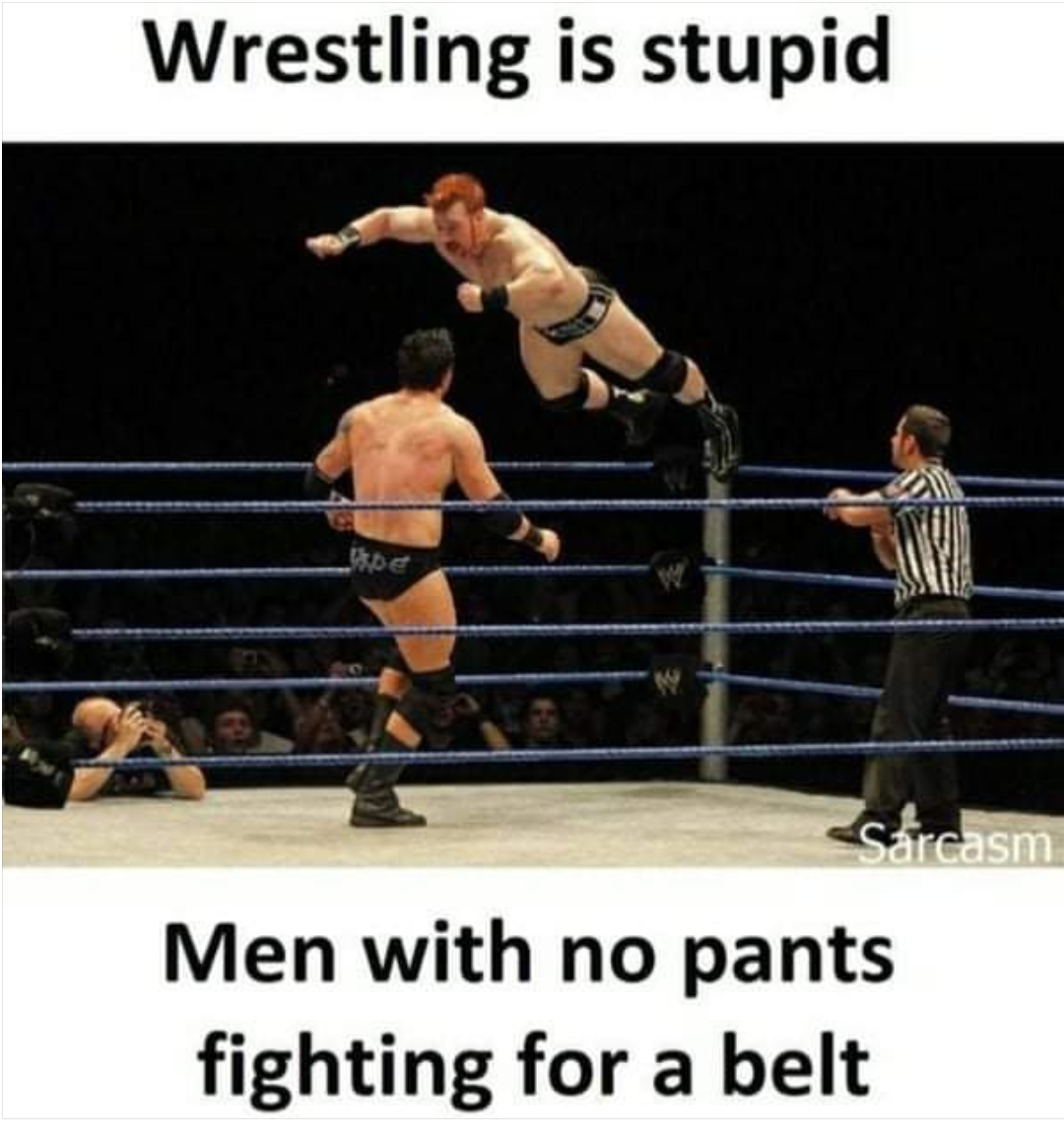 wrestling memes - Wrestling is stupid Shpet Sarcasm Men with no pants fighting for a belt
