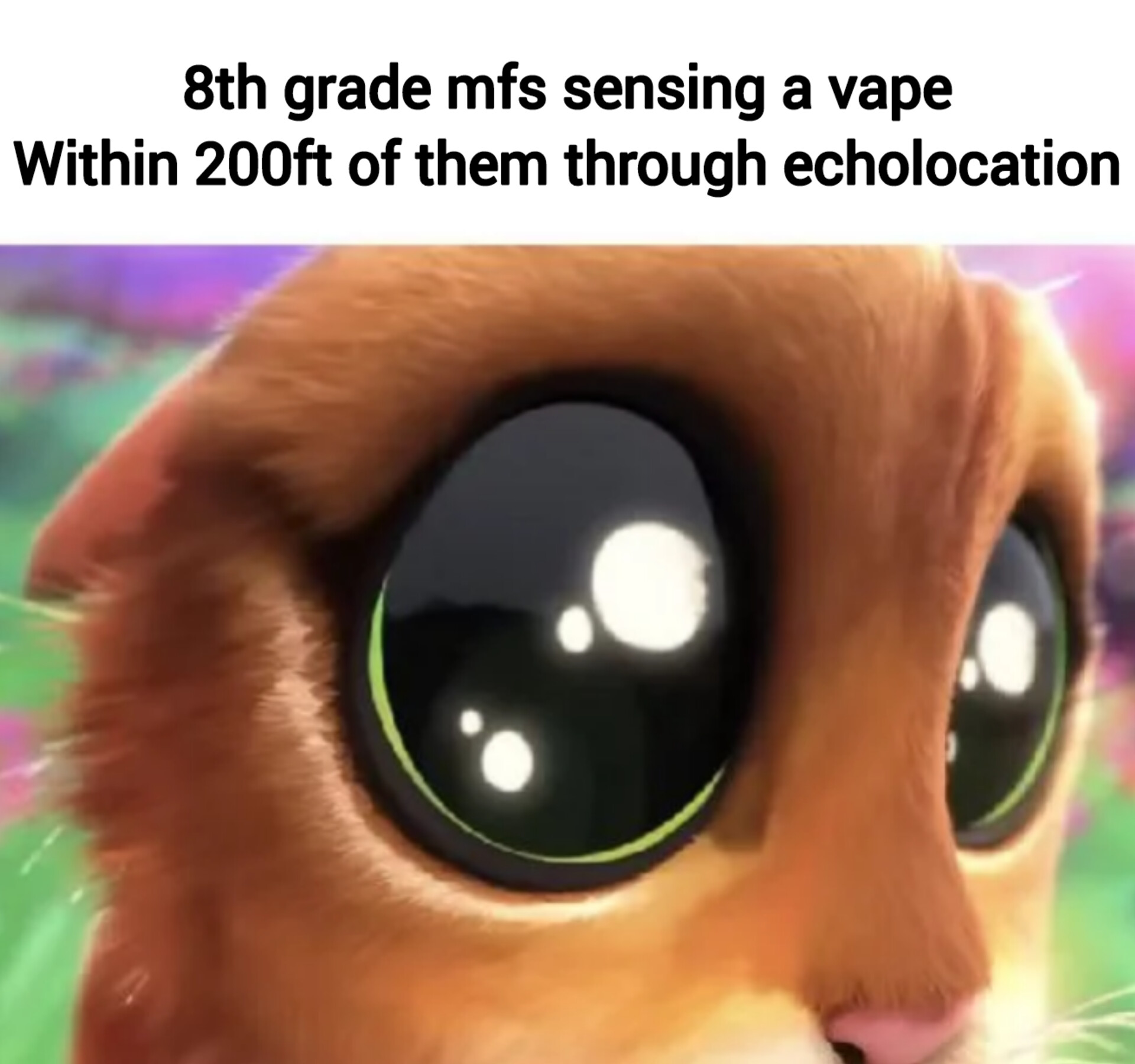 Funny meme - 8th grade mfs sensing a vape Within 200ft of them through echolocation