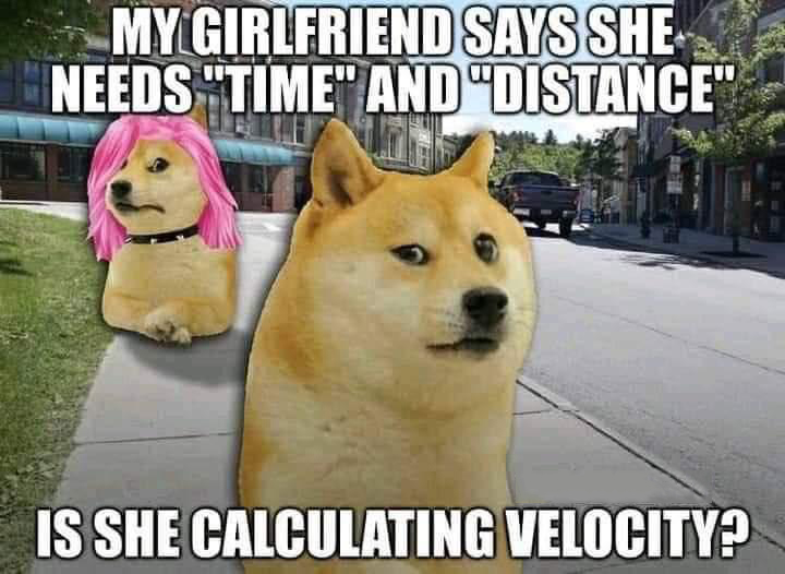 funny memes - dog - My Girlfriend Says She Needs "Time" And "Distance" Is She Calculating Velocity?
