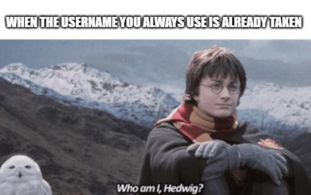 funny memes - photo caption - When The Username You Always Use Is Already Taken Who am I, Hedwig?