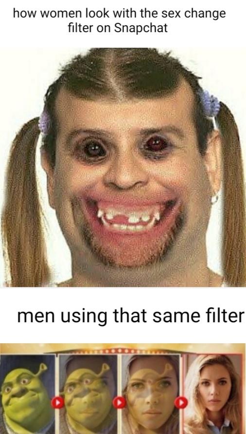 funny memes and pics - head - how women look with the sex change filter on Snapchat men using that same filter