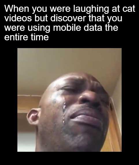 funny memes and pics - head - When you were laughing at cat videos but discover that you were using mobile data the entire time