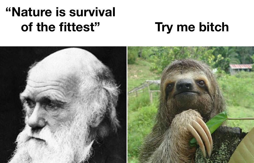 funny memes and pics - charles dawn - "Nature is survival of the fittest" Try me bitch