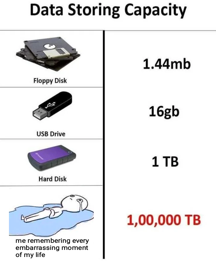 funny memes - electronics accessory - Data Storing Capacity Floppy Disk Usb Drive Hard Disk me remembering every embarrassing moment of my life 1.44mb 16gb 1 Tb 1,00,000 Tb