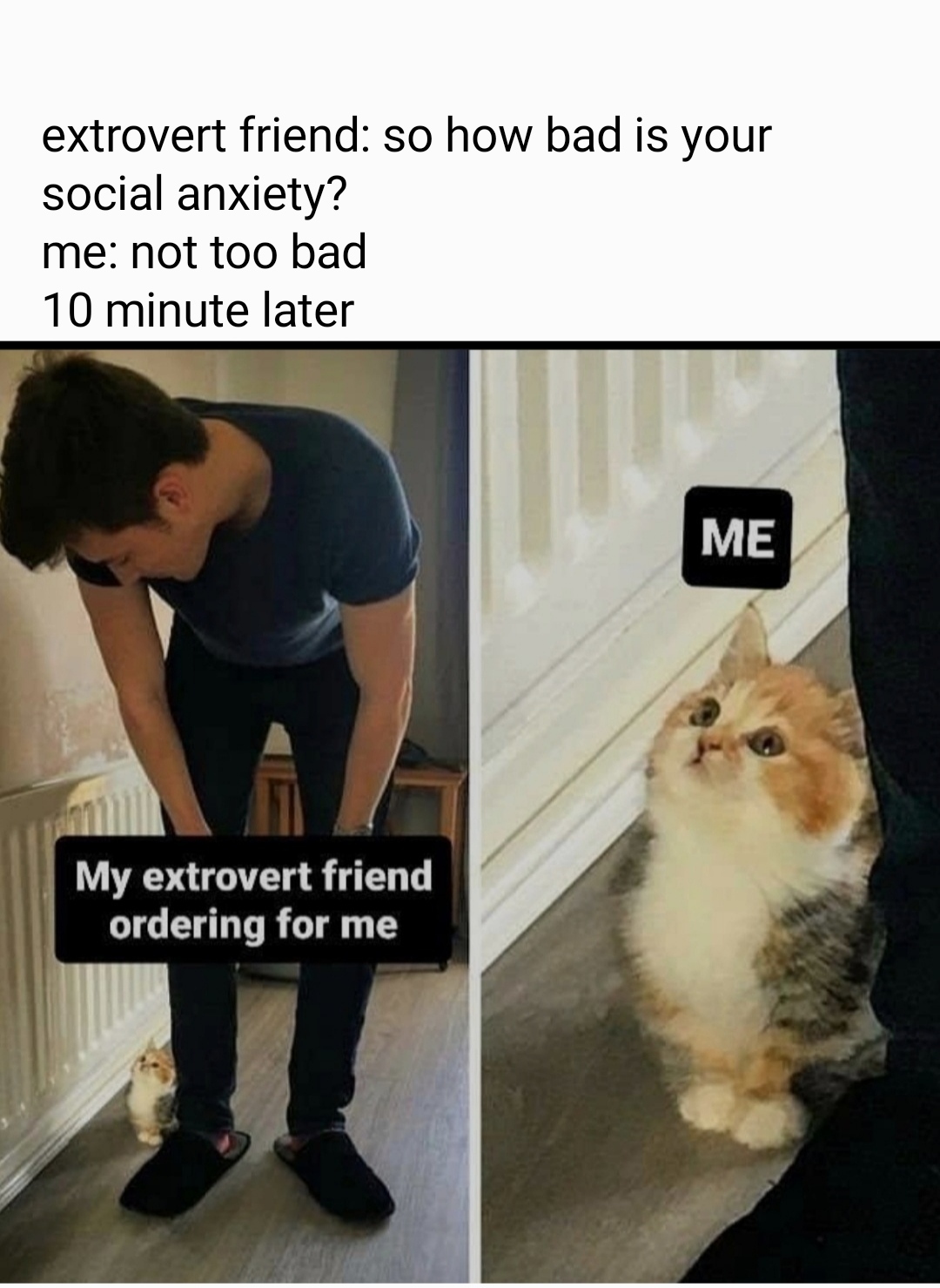 funny memes - Meme - extrovert friend so how bad is your social anxiety? me not too bad 10 minute later My extrovert friend ordering for me Me