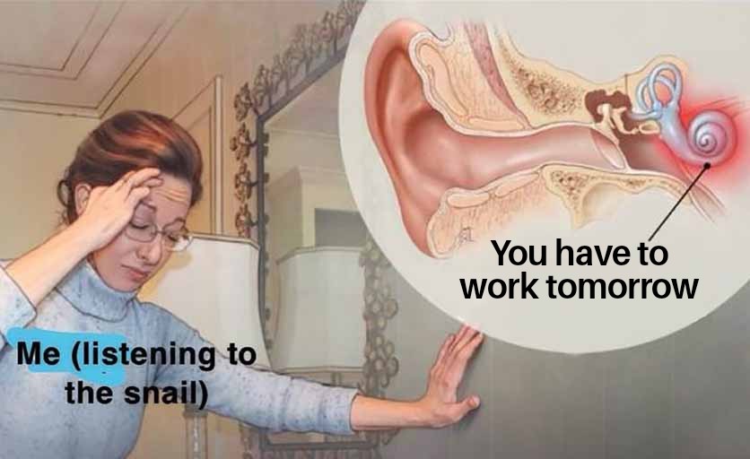 dank memes - - - Me listening to the snail You have to work tomorrow