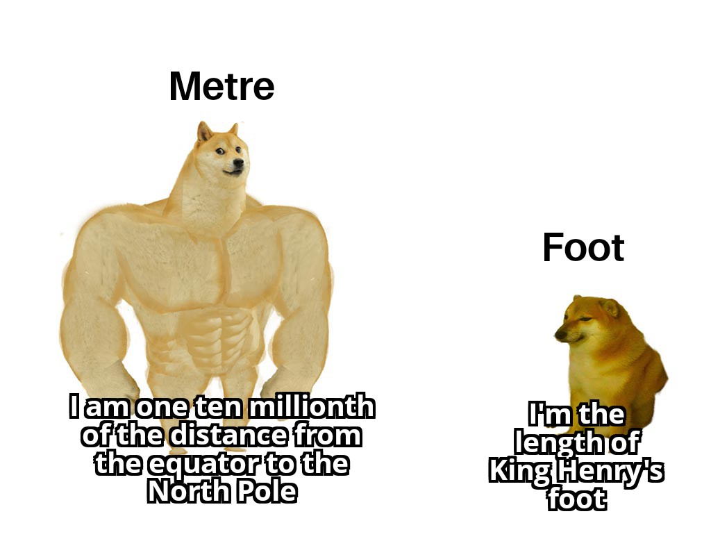 dank memes - Internet meme - Metre I am one ten millionth of the distance from the equator to the North Pole Foot I'm the length of King Henry's foot