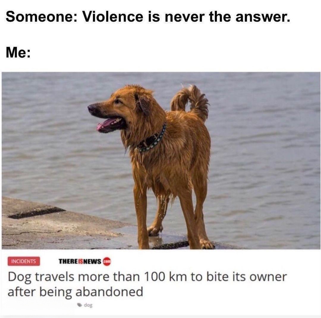 dank memes - violence is never the answer memes - Someone Violence is never the answer. Me There Isnews Dog travels more than 100 km to bite its owner after being abandoned Incidents dog