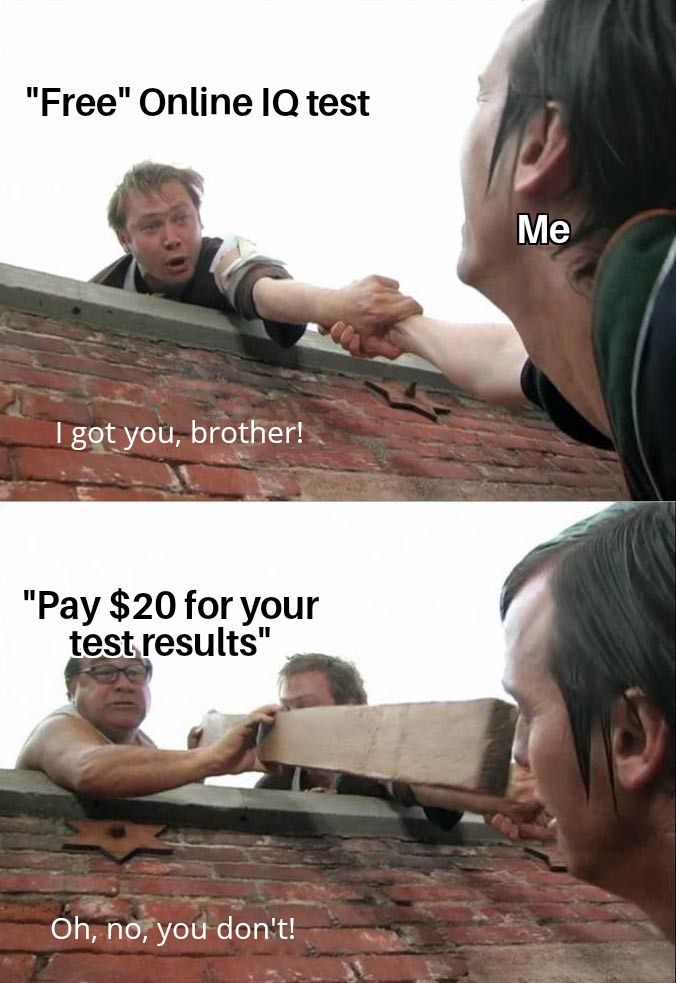 dank memes - got you brother meme template - "Free" Online Iq test I got you, brother! "Pay $20 for your test results" Oh, no, you don't! Me