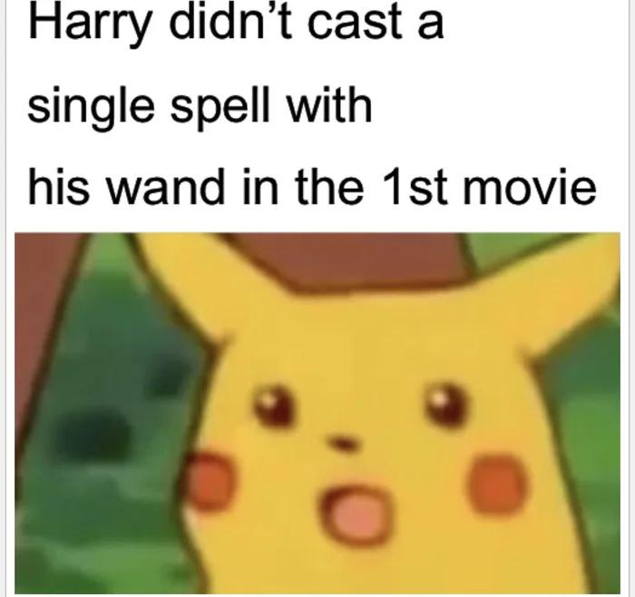 dank memes - uh oh here come the popo - Harry didn't cast a single spell with his wand in the 1st movie
