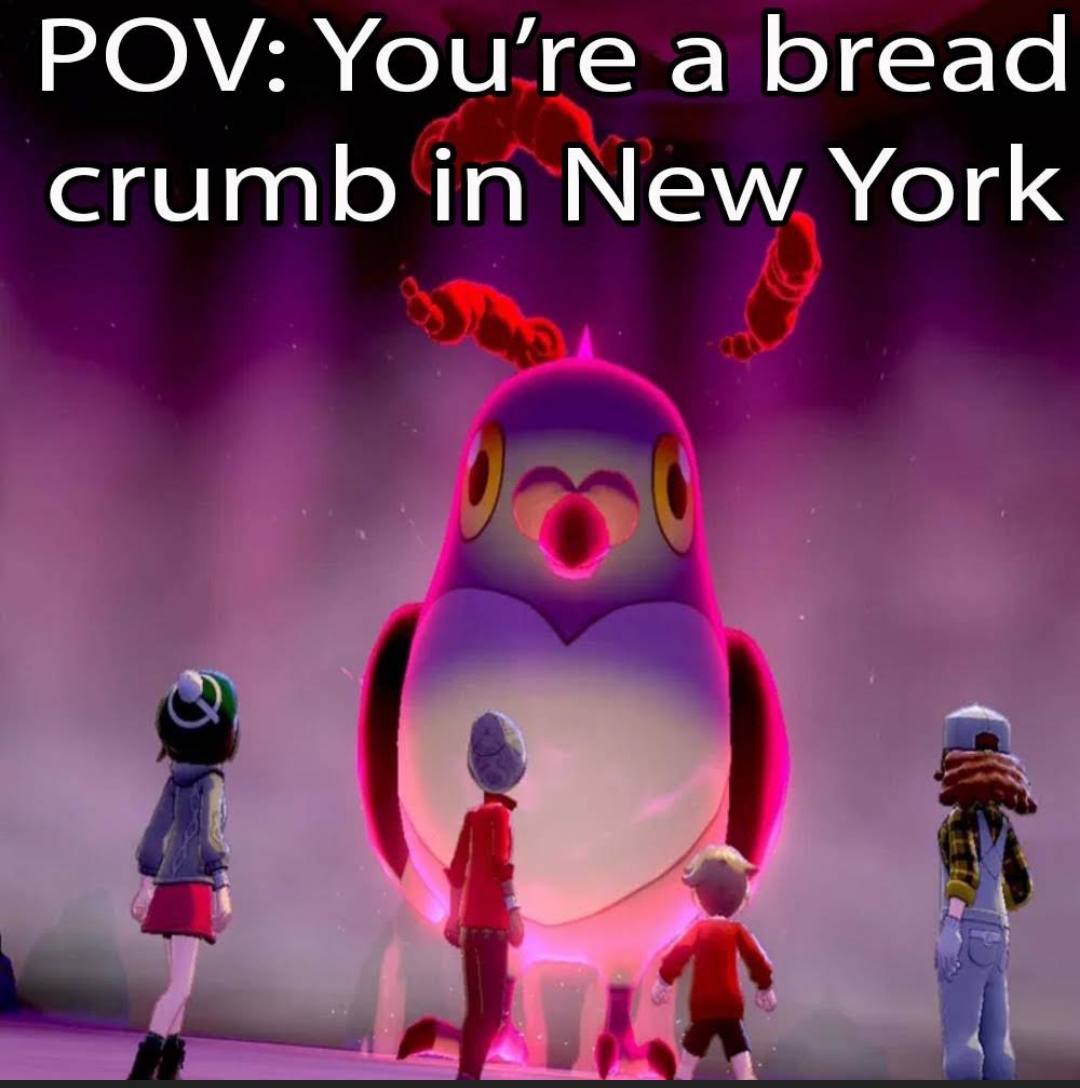 dank memes funny jokes - bread crum pov - Pov You're a bread crumb in New York