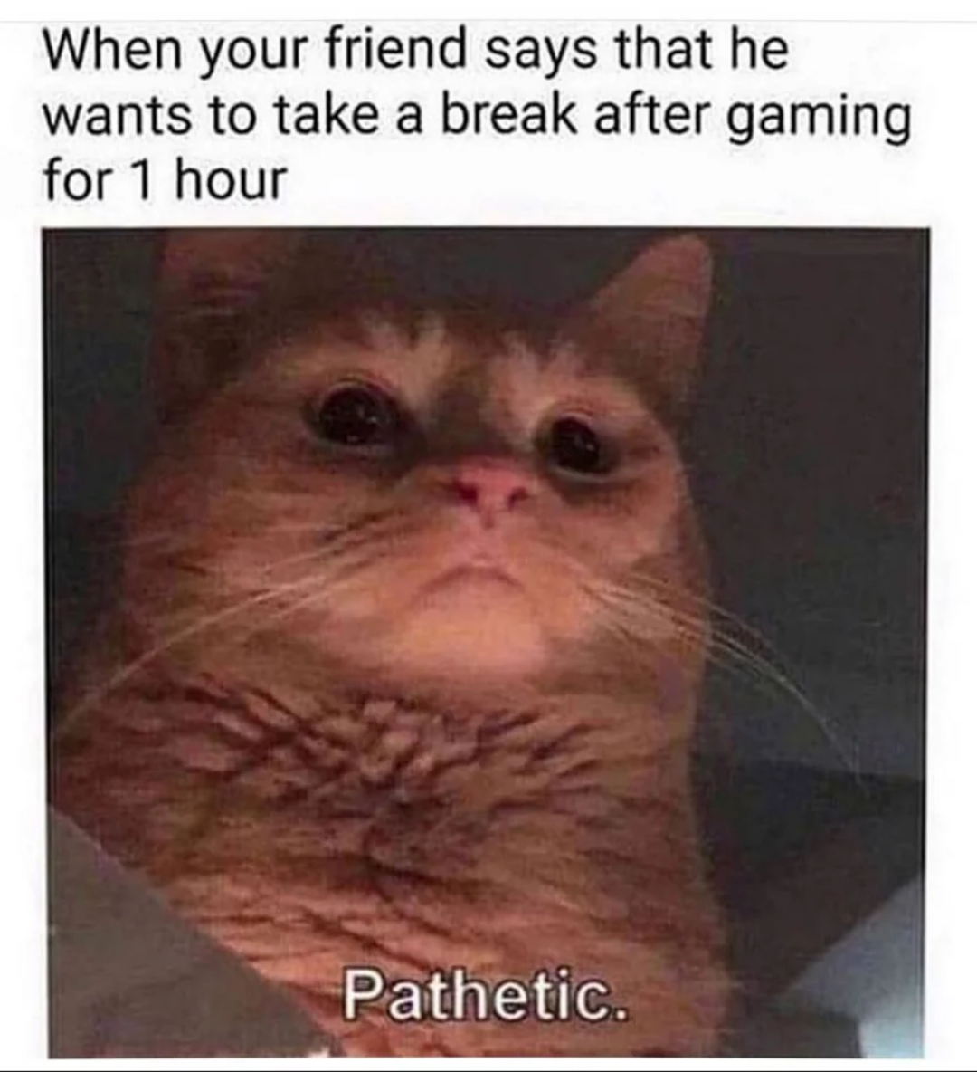 dank memes funny jokes - Funny meme - When your friend says that he wants to take a break after gaming for 1 hour Pathetic.