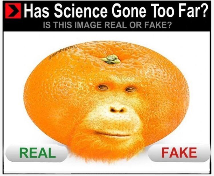 dank memes - has science gone too far - Has Science Gone Too Far? Is This Image Real Or Fake? monkeyszn Real Fake