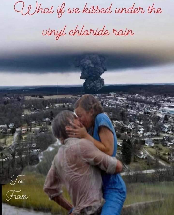 funny memes - What if we kissed under the vinyl chloride rain To From