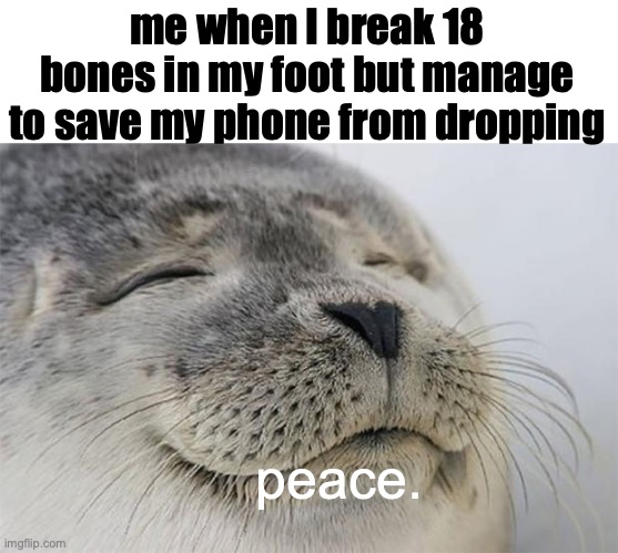 funny memes - fauna - me when I break 18 bones in my foot but manage to save my phone from dropping imgflip.com peace.