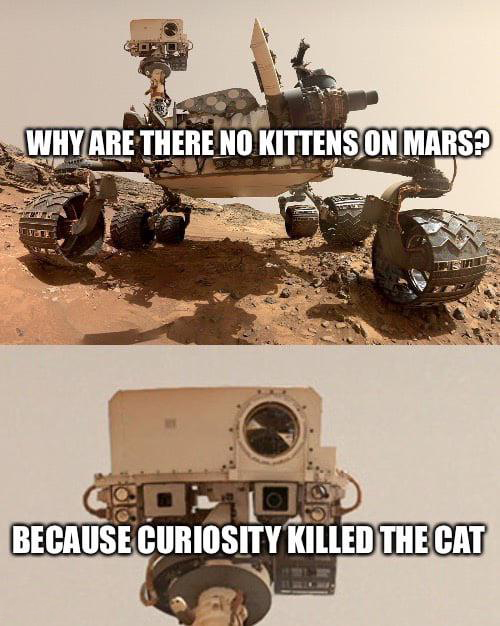 dank memes  - Why Are There No Kittens On Mars? 10 Because Curiosity Killed The Cat