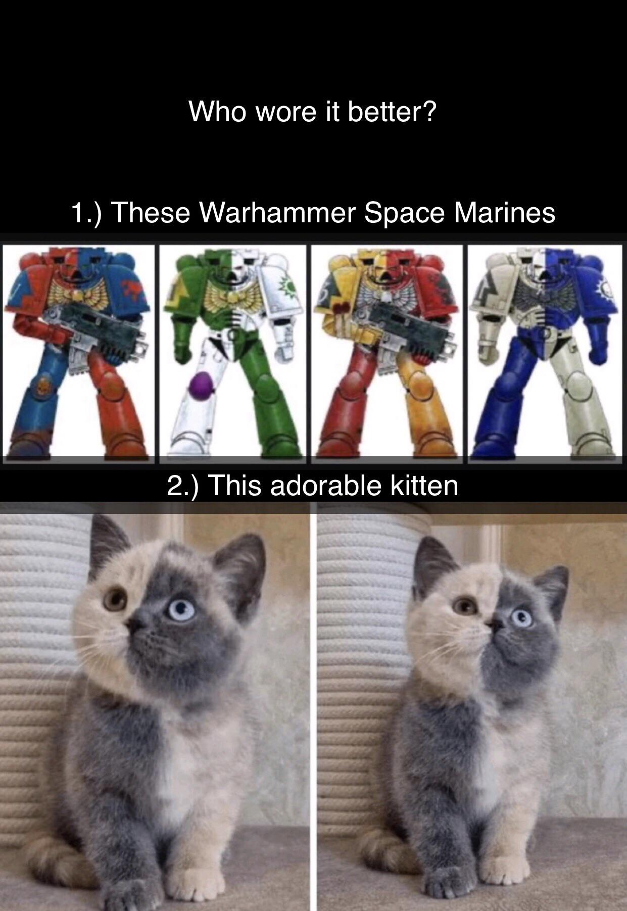 dank memes  - fauna - Who wore it better? 1. These Warhammer Space Marines Helh 2. This adorable kitten